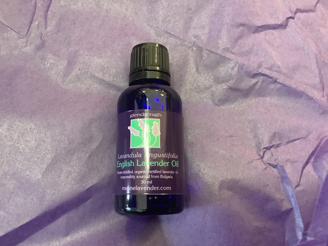 The Big Benefits of Lavender for Your Health and Wellbeing