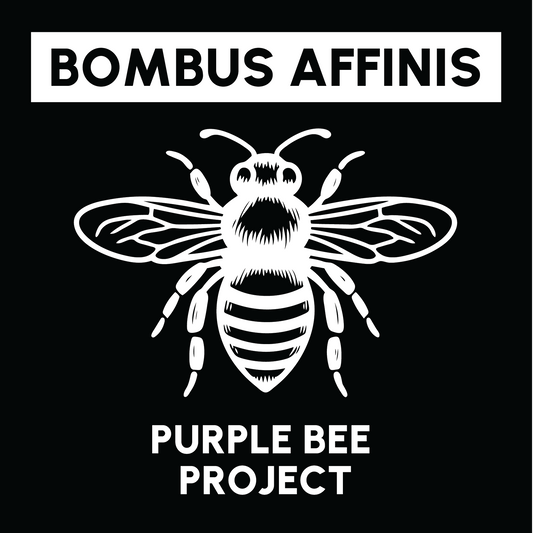 Bombus Affinis = 54 Lavender Plants