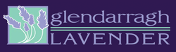 Glendarragh Farm Lavender