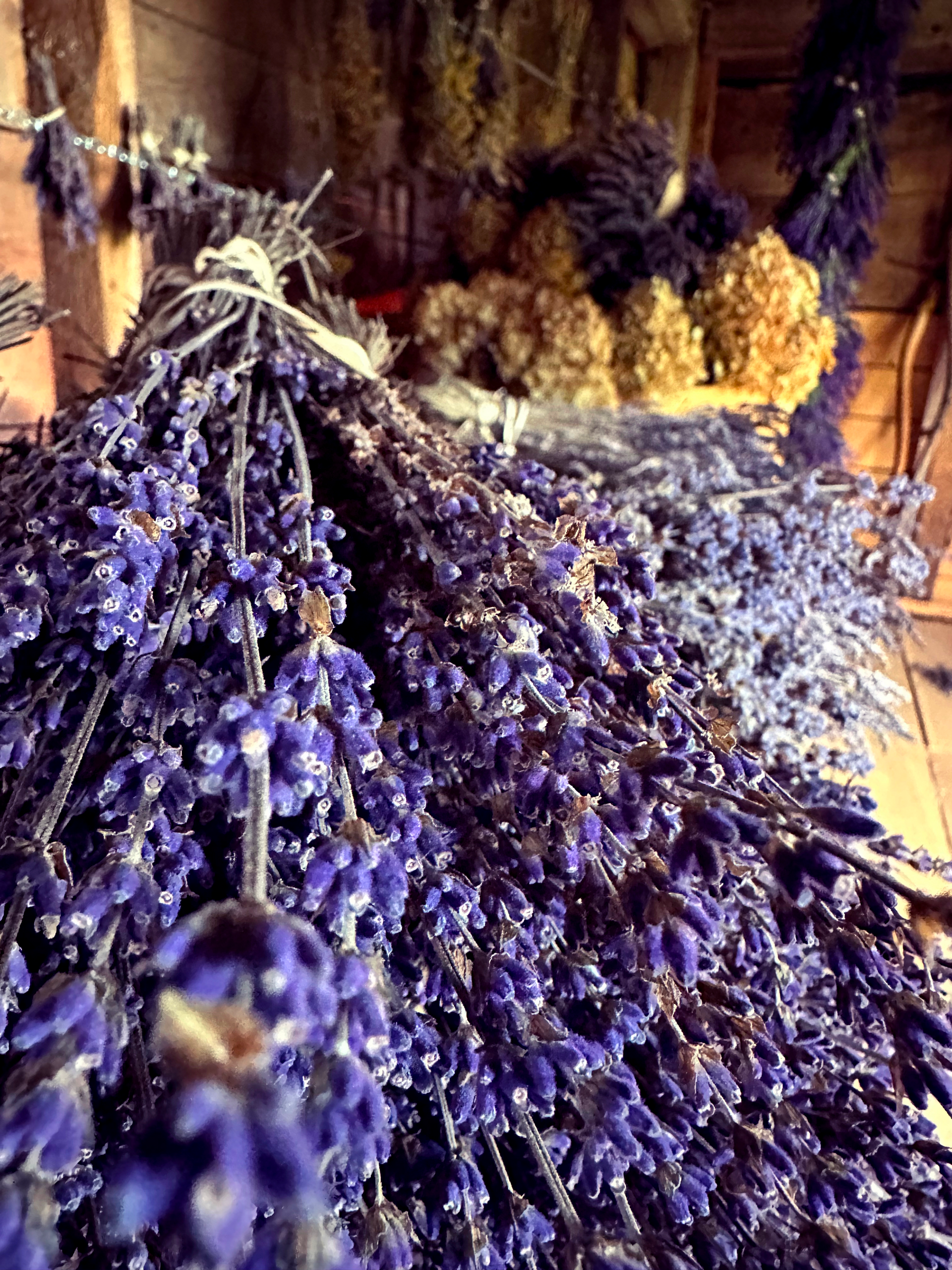 dried lavender flower Glendarragh Dried Lavender Bunch
