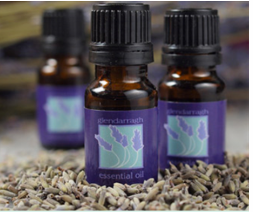 Lavender Steam-Distilled Essential Oil